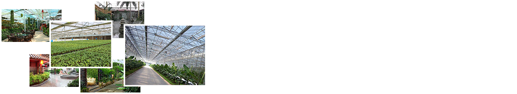 24小時(shí)免費咨詢(xún)、免費技術(shù)指導