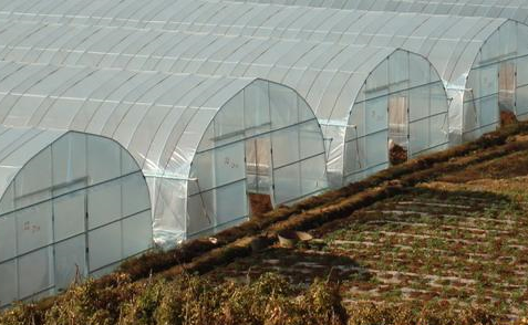 陜西單棟溫室大棚生產(chǎn)廠(chǎng)家