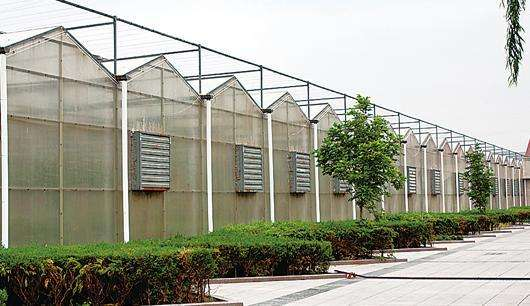 規模大，質(zhì)量好