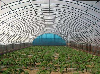 技術(shù)專(zhuān)業(yè)，服務(wù)到位