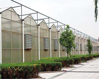 規模大，質(zhì)量好