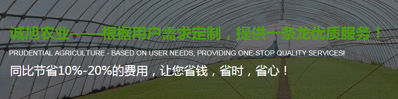 陜西溫室大棚花卉大棚