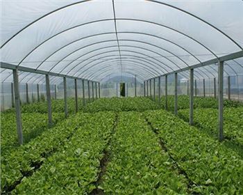 智能低碳雙輪驅動(dòng) 溫室大棚市場(chǎng)年增 7.6% 2030 年規模將達 980 億元