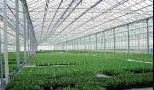 陜西溫室大棚 陜西溫室大棚