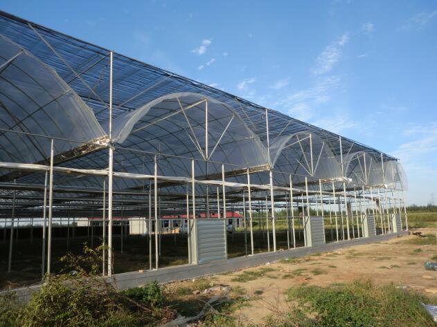 陜西溫室大棚突然遇到冰雹天氣該如何避免？